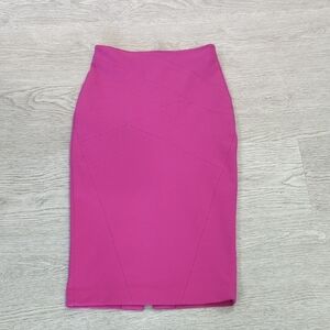 Elegant Pink Women's Skirt